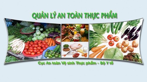 Lễ phát động “Tháng hành động vì chất lượng, vệ sinh an toàn thực phẩm” năm 2013  - ảnh 1